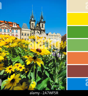 La corrispondenza dei colori della tavolozza di viaggio da sfondo, immagine estiva di fiori gialli di fronte alla chiesa di Nostra Signora di Tyn a Praga in una luminosa giornata con Foto Stock