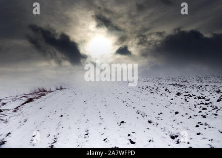 Agricoltura sul confine di autunno e inverno. Colture invernali sono state coperte con la prima neve pura, coperta di neve campo. Abbondanza di neve nelle regioni del Nord Foto Stock