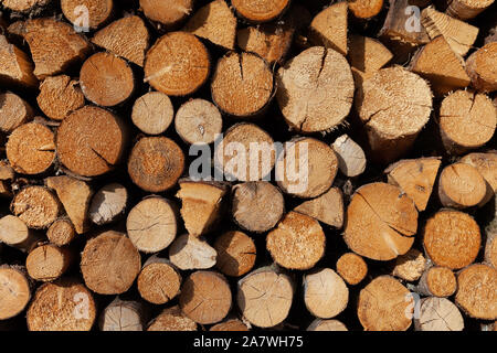 Ben tagliare legna da ardere impilati e impilati. Pile di questo tipo sono spesso si trova nella parte anteriore del case in zone rurali. Alcuni pezzi sono già divisa e rea Foto Stock