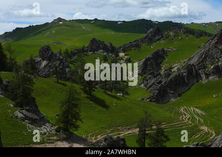 Il paesaggio di granito "Forest" sui pascoli di Burqin county, prefettura degli Altai, a nord-ovest della Cina di Xinjiang Uygur Regione autonoma, 26 giugno 2 Foto Stock