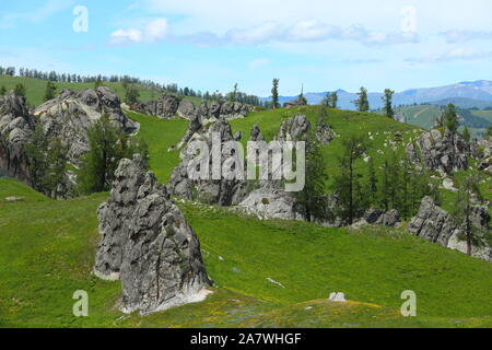 Il paesaggio di granito "Forest" sui pascoli di Burqin county, prefettura degli Altai, a nord-ovest della Cina di Xinjiang Uygur Regione autonoma, 26 giugno 2 Foto Stock