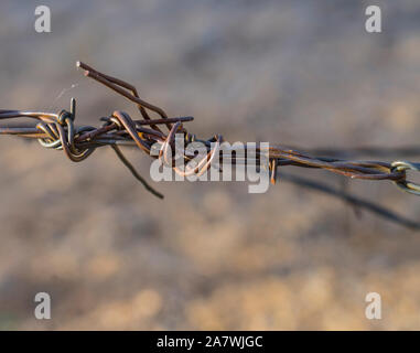 Immagine ravvicinata di un vecchio rusy filo spinato con il deserto secco al di fuori della messa a fuoco in background. Foto Stock