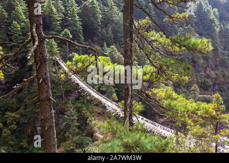 Sospensione ponte sul Campo Base Everest Trek, l'Himalaya, il Parco Nazionale di Sagarmatha, Nepal. Foto Stock