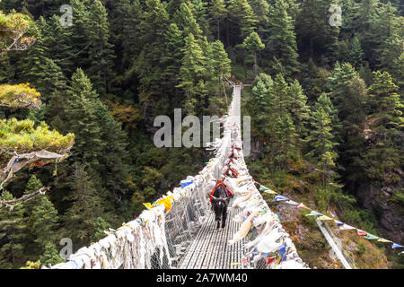 Sospensione ponte sul Campo Base Everest Trek, l'Himalaya, il Parco Nazionale di Sagarmatha, Nepal. Foto Stock