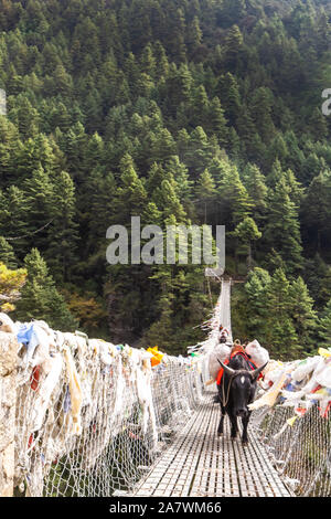 Sospensione ponte sul Campo Base Everest Trek, l'Himalaya, il Parco Nazionale di Sagarmatha, Nepal. Foto Stock