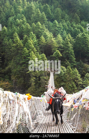 Sospensione ponte sul Campo Base Everest Trek, l'Himalaya, il Parco Nazionale di Sagarmatha, Nepal. Foto Stock