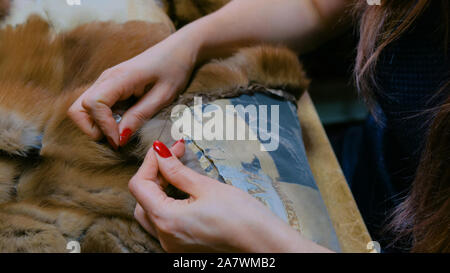 Personalizzare la riparazione di pelliccia Foto Stock