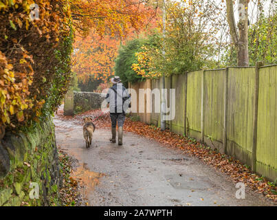 Un uomo cammina il suo cane in Ladderbanks Lane, Baildon Yorkshire. Foto Stock