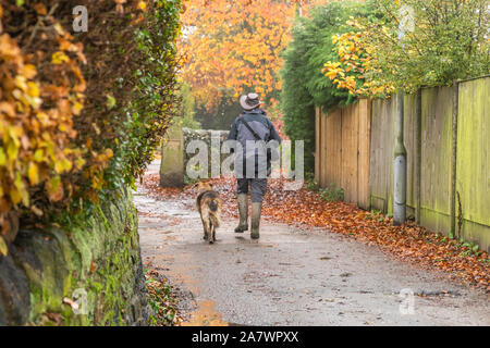 Un uomo cammina il suo cane in Ladderbanks Lane, Baildon Yorkshire. Foto Stock