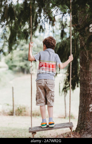 Vista posteriore del ragazzo in piedi su altalena sotto gli alberi di pino Foto Stock