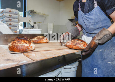 Vista ravvicinata di baker posizionando il pane appena sfornato su una superficie infarinata Foto Stock