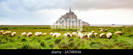 Tidelands con Mont Saint-Michel, della Manica, del Titolo di San Giacomo, itinerario di Santiago de Compostela, Bassa Normandia Foto Stock