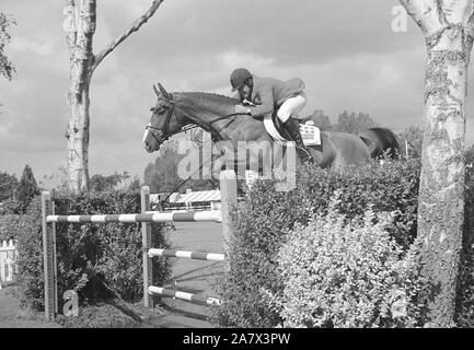 Campionati Europei, Hickstead Agosto 1999, Markus Fuchs (SUI) Tinka equitazione's Boy Foto Stock