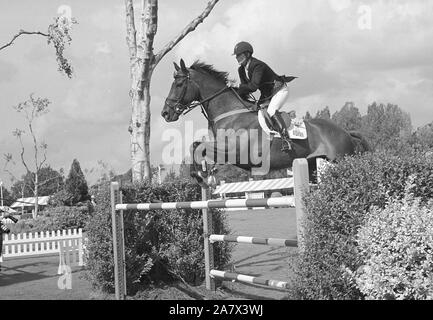 Campionati Europei, Hickstead, Agosto 1999 di Lampard (GBR) riding Abbevaile sogno Foto Stock