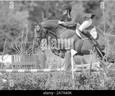 Campionati Europei, Hickstead, Agosto 1999 Thomas Velin (DEN) riding Equest Carnute Foto Stock