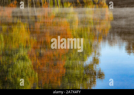 Foglie di autunno riflessa nell'acqua - colori autunnali - caduta di alberi che riflette - impressionismo - Fotografia impressionista - vapore nebbia - misty acqua Foto Stock
