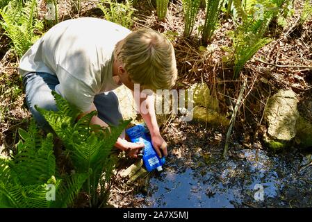 Giovane uomo utilizzando Sawyer Squeeze acqua sistema di filtrazione per purificare l acqua potabile sicura, rendere potabile, da stagno, Browntown Wisconsin, USA. Foto Stock