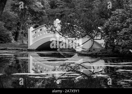 Stagno e bridge Foto Stock