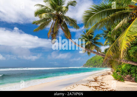 Spiaggia tropicale sfondo Foto Stock