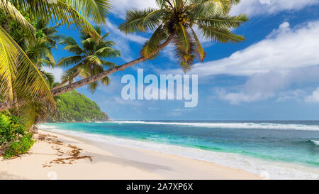 Exotic Tropical Beach Foto Stock