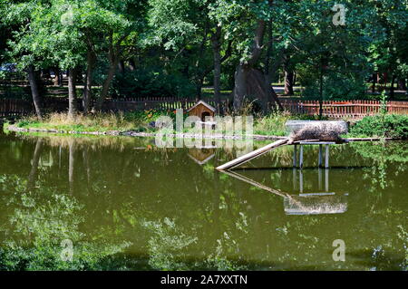 Una piccola casa costruita nel lago e luogo di nidificazione per anatre nella città giardino, Sofia, Bulgaria Foto Stock