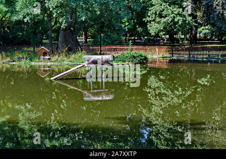 Una piccola casa costruita nel lago e luogo di nidificazione per anatre nella città giardino, Sofia, Bulgaria Foto Stock