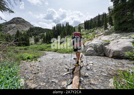 Escursioni sul fiume del vento Alta Via, Wyoming USA Foto Stock