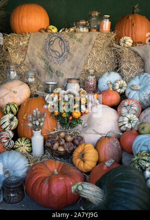 Harvest Festival Visualizzazione di zucche, squash e cresciuto in casa produrre alla Corte di Arlington, Devon Foto Stock