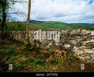 Ricostruito recentemente stalattite Park muro di cinta accanto al Leete a piedi, ferri corti Country Park, Flintshire, il Galles del Nord. Foto Stock