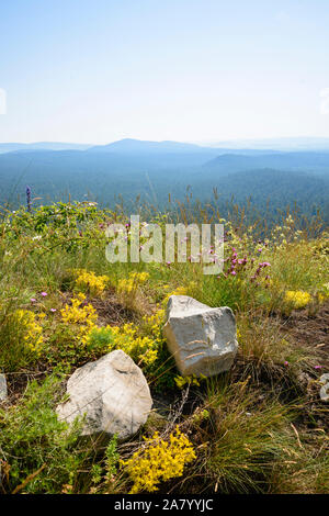 Regenstein Burgruine, Nordharz, Harz, Sachsen-Anhalt, Deutschland, Europa Foto Stock