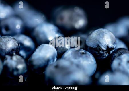 Bacche di colore blu nella parte anteriore del nero, mirtilli o sfondo whortleberries Foto Stock