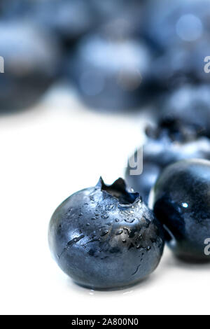 Vista dettagliata del Vaccinium myrtillus bacche, freschi frutti di colore blu su sfondo bianco Foto Stock