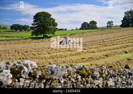 Ruotando il fieno in estate, Cumbria Foto Stock