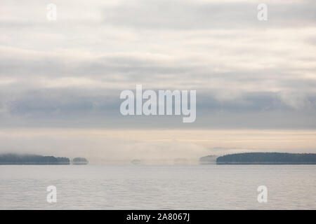 Il lago di scape e nebbioso sponda opposta foresta all'alba Foto Stock