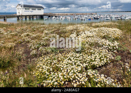 Il porto e la stazione di salvataggio a Trévignon, Finistère Bretagna, Francia Foto Stock
