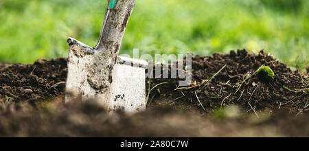 La testata, giardino pala o mette a forcella nel suolo, verde prato sul retro, bassa angolazione Foto Stock
