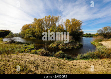 Datteln-Olfen, Ruhrgebiet, Renania settentrionale-Vestfalia, Germania - Lippe, fiume e lo sviluppo di aree inondabili della Lippe vicino Haus Vogelsang, qui un vicino-natura Foto Stock