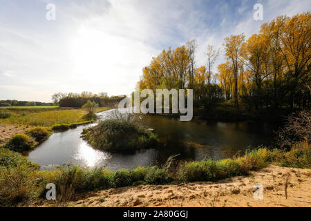 Datteln-Olfen, Ruhrgebiet, Renania settentrionale-Vestfalia, Germania - Lippe, fiume e lo sviluppo di aree inondabili della Lippe vicino Haus Vogelsang, qui un vicino-natura Foto Stock