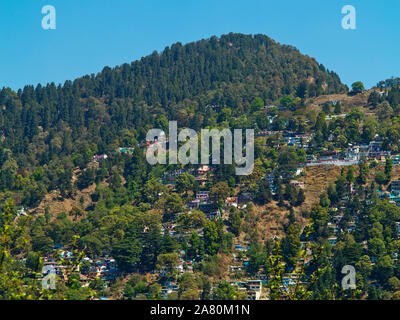 Case sul pino area boschiva a stazione della collina di Nainital, Uttarakhand, India Foto Stock