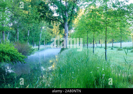 Francia, Maine et Loire, Brissac Loira Aubance, Chateau de Brissac e park, stagno sul flusso Montayer e alley foderato con Americano rosso di leccio (Quercus ru Foto Stock