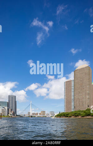 Vista del Fiume Sumida, Chuo-Ohashi Bridge e alti edifici in Tsukuda e Shinkawa; Chuo City, Tokyo, Giappone Foto Stock