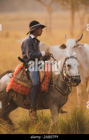 Un pantaneiro (cowboy da Pantanal) a cavallo Foto Stock