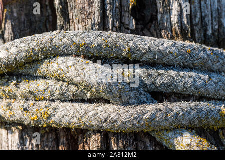 Vecchia corda è avvolta attorno ad un palo da recinzione Foto Stock