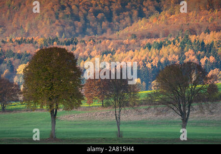 Vista della foresta Solling, fiume Weser, Bassa Sassonia, Germania Foto Stock