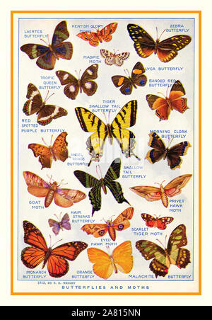 Vintage illustrazione pagina 1913 'farfalle e falene' Laertes Butterfly, Zebra Butterfly, Tiger coda di rondine Butterfly, capra Moth, Scarlet Tiger Moth, farfalla monarca e Malachite Butterfly. Pagina originale da una storia naturale pubblicato dizionario 1922. Foto Stock