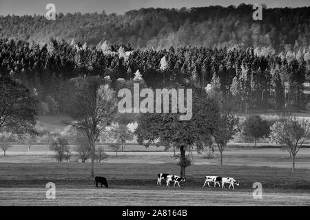 Vista della foresta Solling, fiume Weser, Bassa Sassonia, Germania Foto Stock