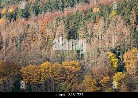 Vista della foresta Solling, fiume Weser, Bassa Sassonia, Germania Foto Stock