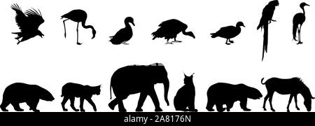 Silhouette elephant bear eagle trotto duck zebra parrot su uno sfondo bianco. Illustrazione Vettoriale