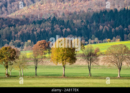 Vista della foresta Solling, fiume Weser, Bassa Sassonia, Germania Foto Stock