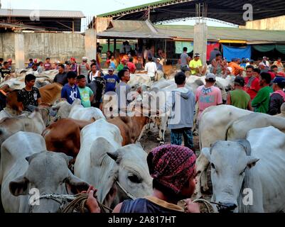 I commercianti locali di animali di allevamento di bestiame mercato aste in Padre Garcia, Batangas, Filippine - 03 Maggio 2019 Foto Stock